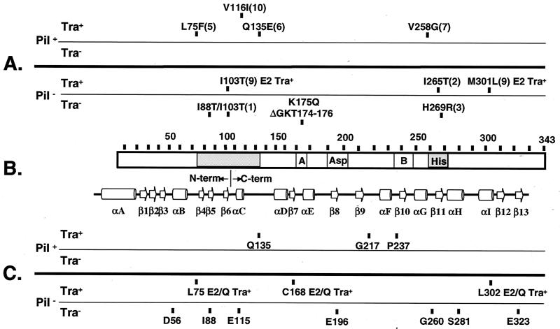 FIG. 7