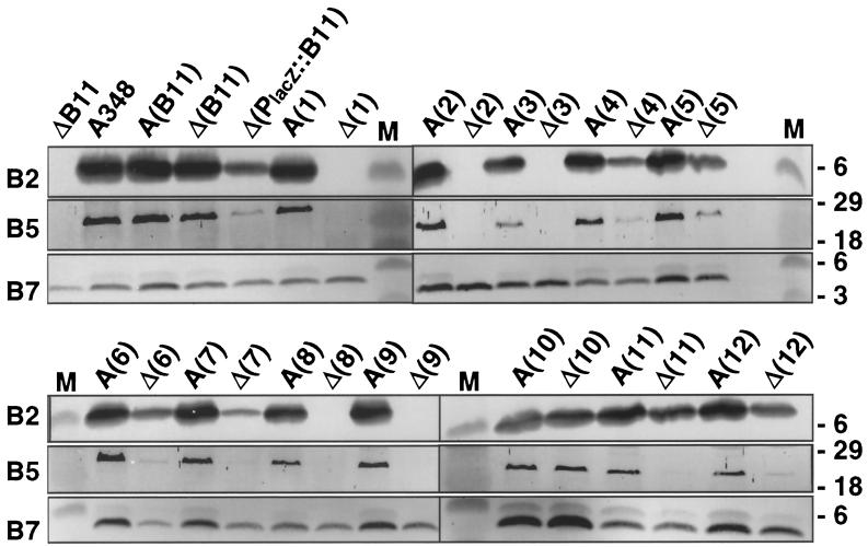 FIG. 3