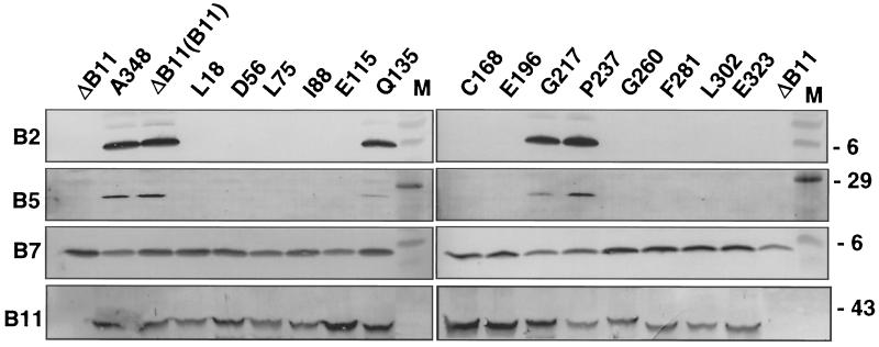 FIG. 5