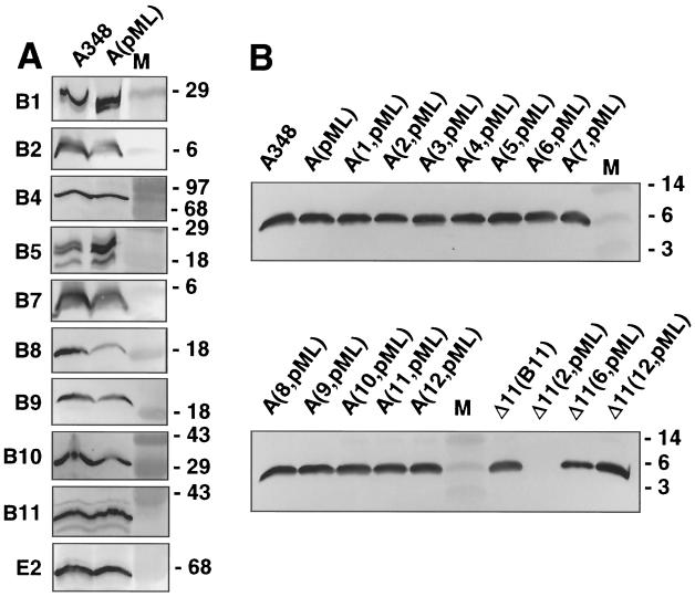 FIG. 6