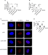 Figure 5