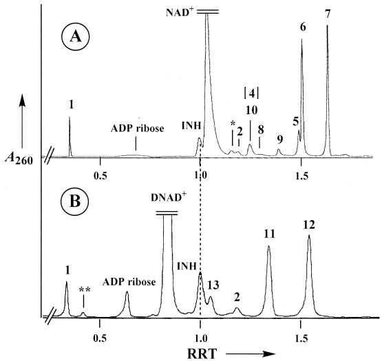 FIG. 2.