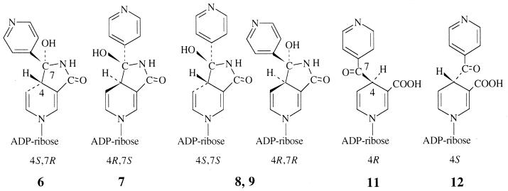 FIG. 7.