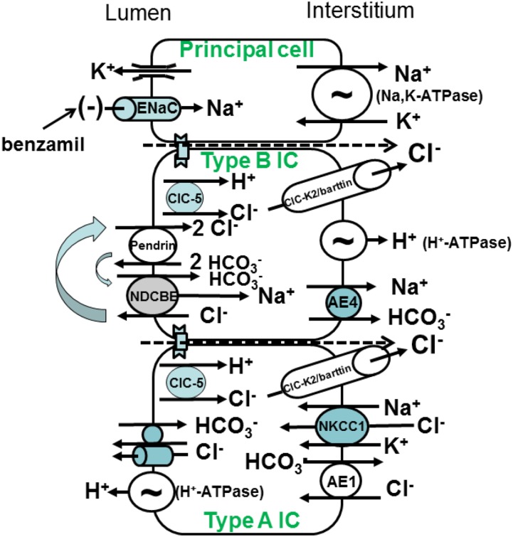 Figure 1.