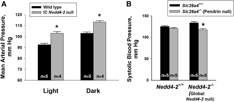 Figure 10.