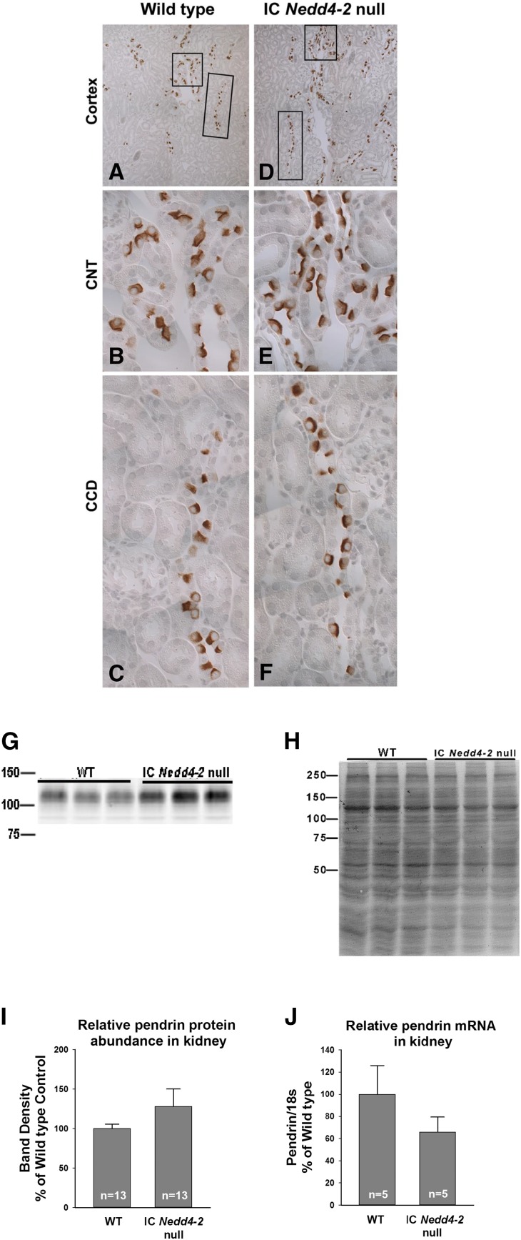 Figure 9.