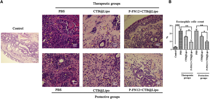 Figure 6