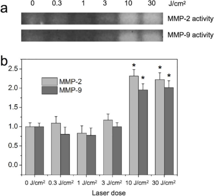 Fig. 7.