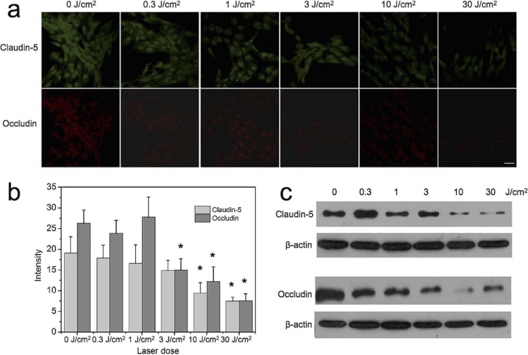 Fig. 8.