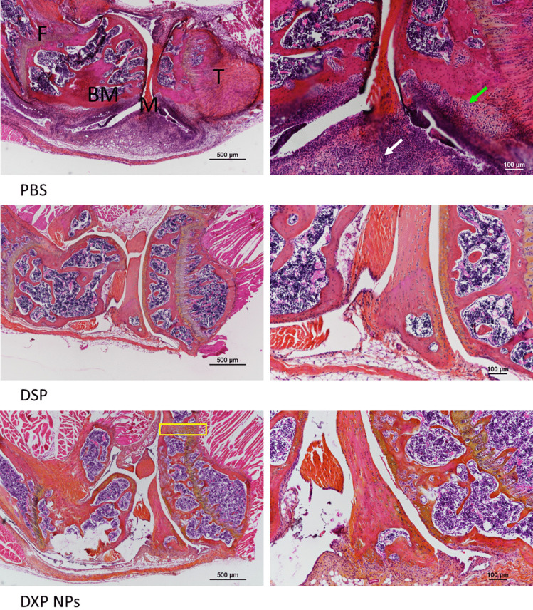 Fig. 8