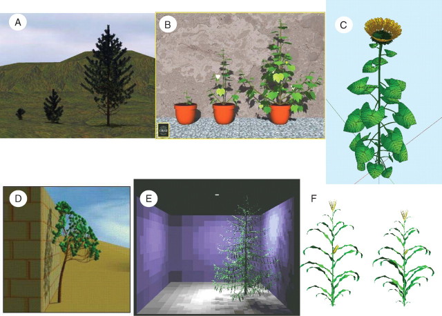 Fig. 6.