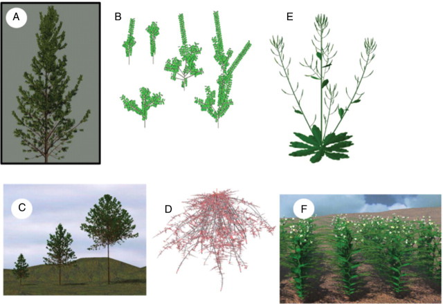 Fig. 4.