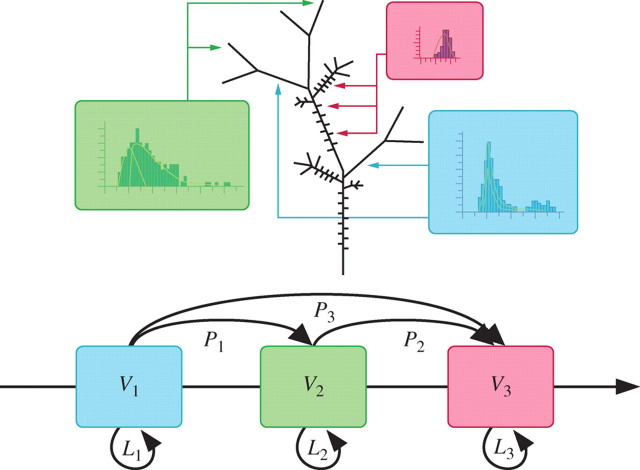 Fig. 2.