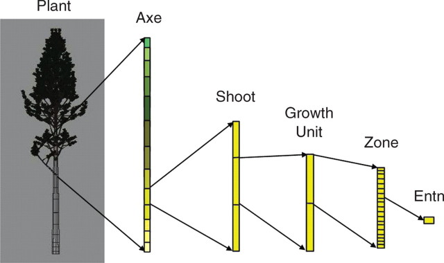 Fig. 1.