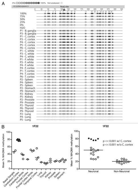 Figure 4A and B