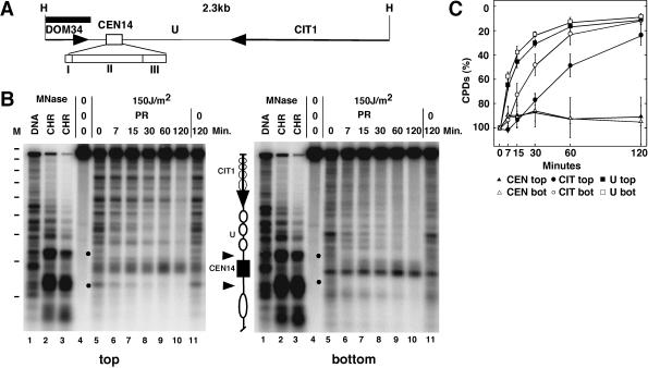 FIG. 1.