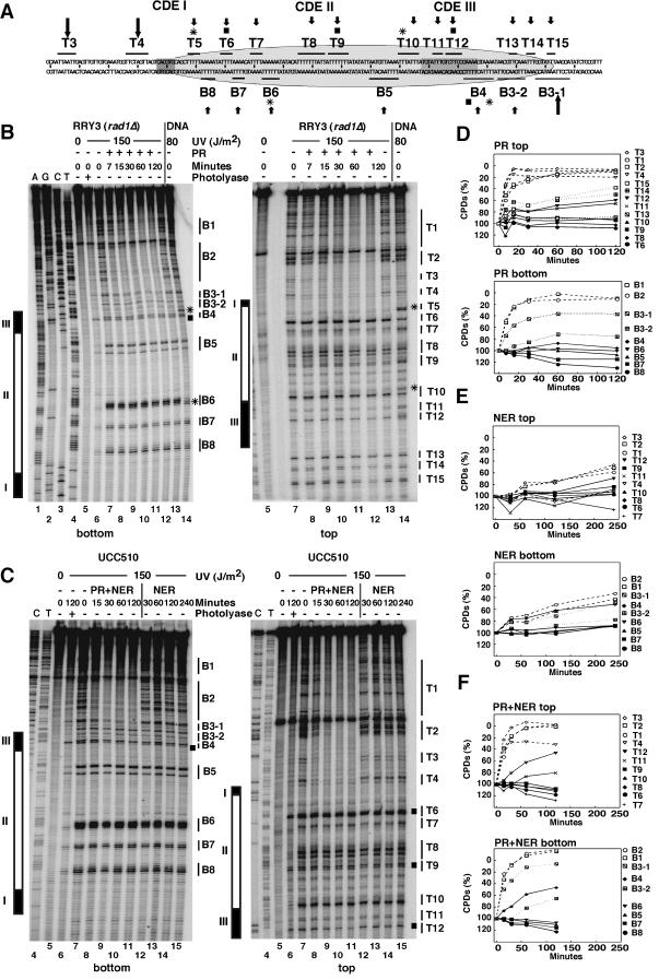 FIG.4.