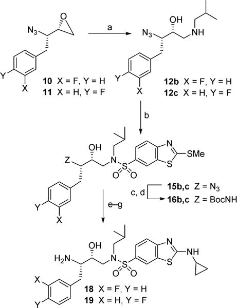 Scheme 3