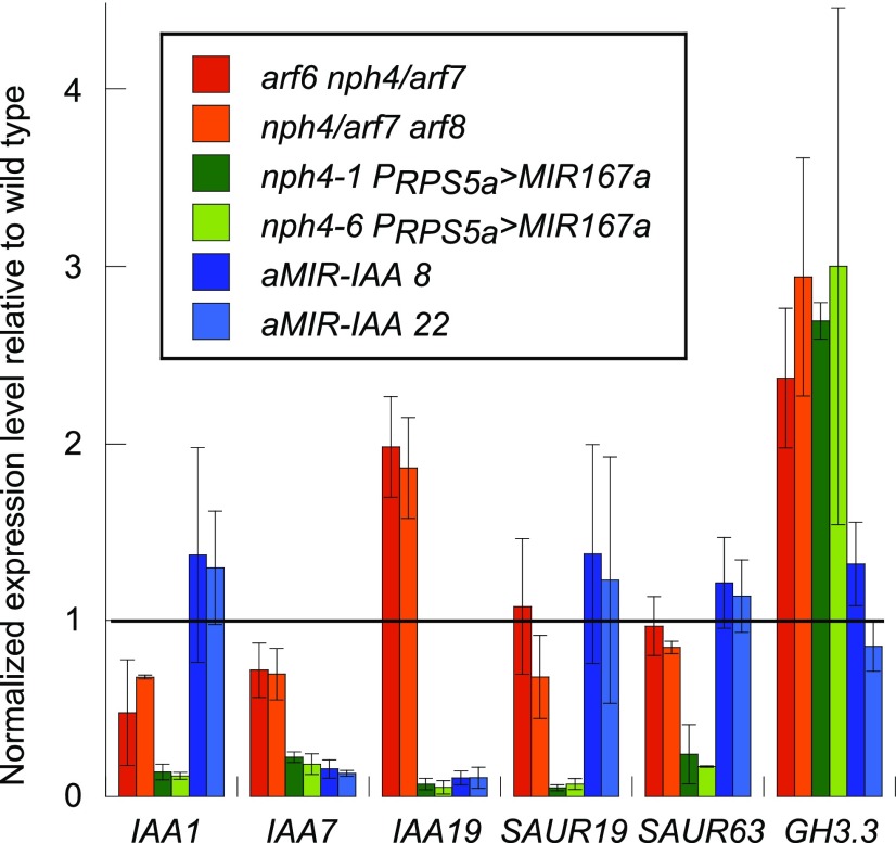 Figure 2.