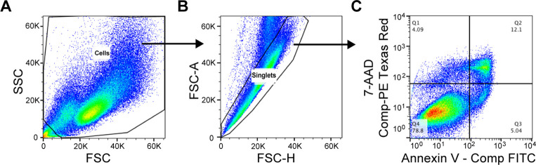 Figure 2—figure supplement 1.