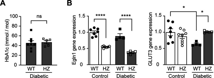 Figure 4—figure supplement 3.