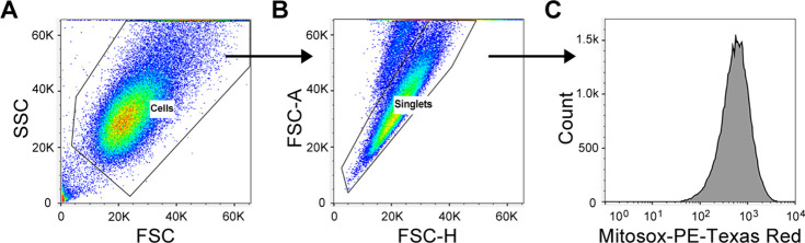 Figure 3—figure supplement 1.