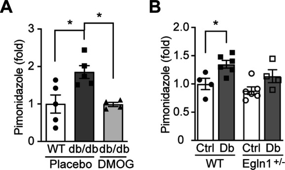 Figure 4—figure supplement 1.