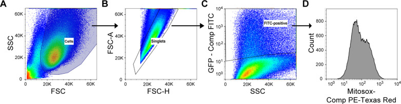 Figure 3—figure supplement 2.