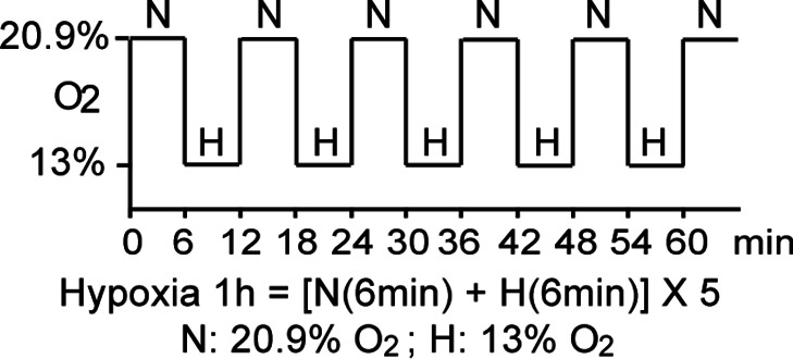 Figure 1—figure supplement 1.