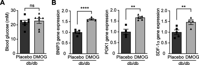 Figure 4—figure supplement 2.