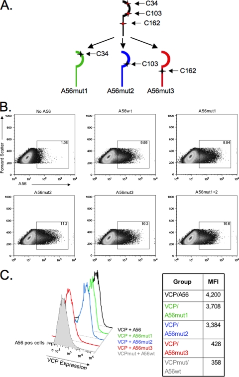 FIG. 2.