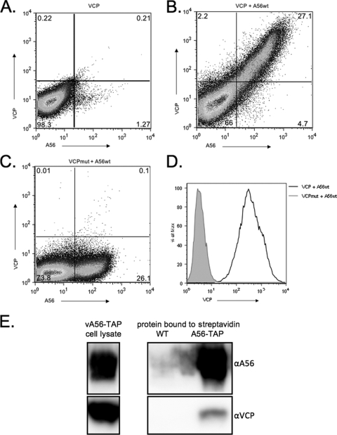 FIG. 1.