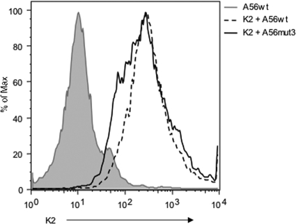 FIG. 3.