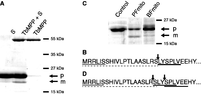 Fig. 4.—