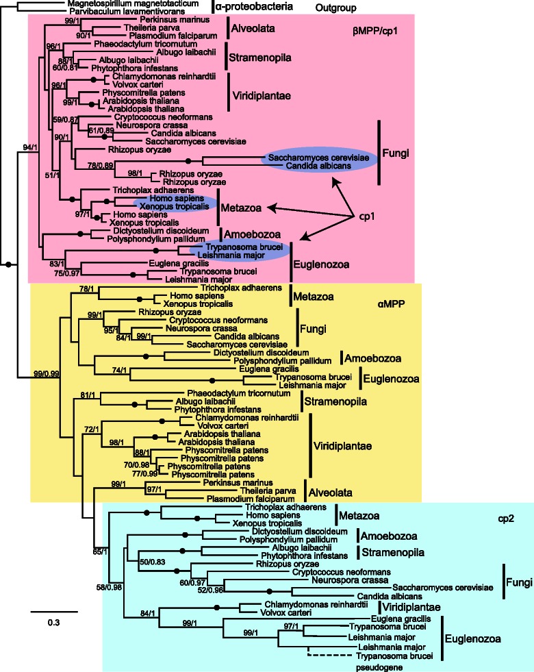 Fig. 6.—