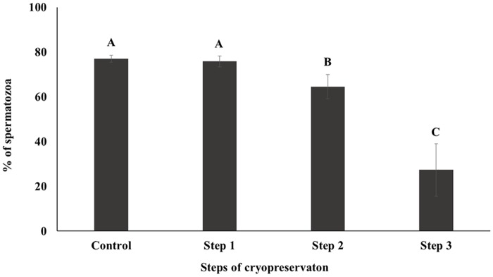 Fig 5