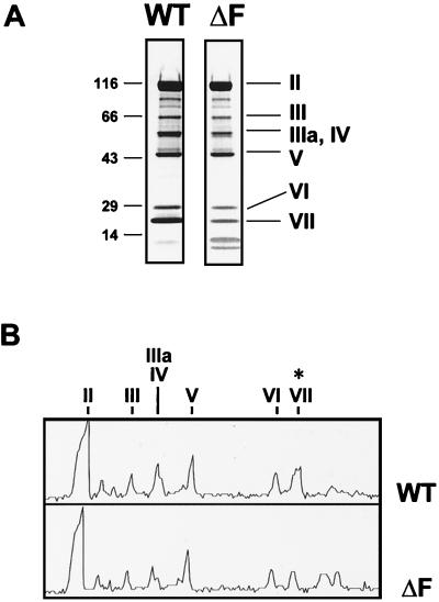 FIG. 5