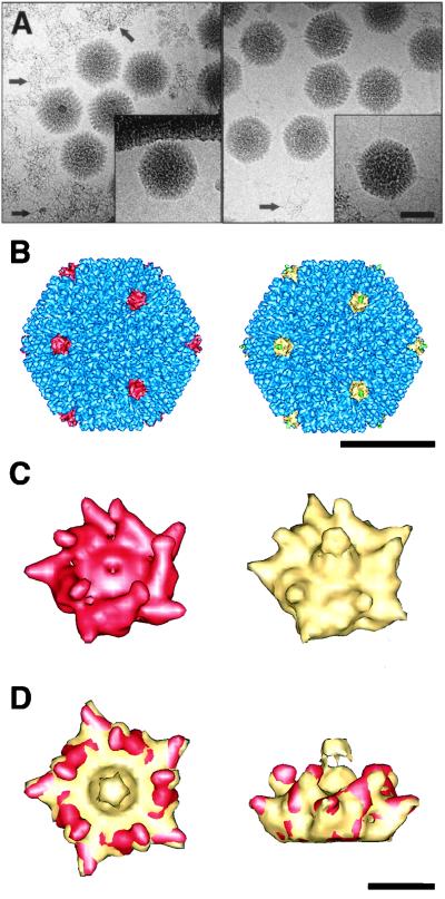 FIG. 6