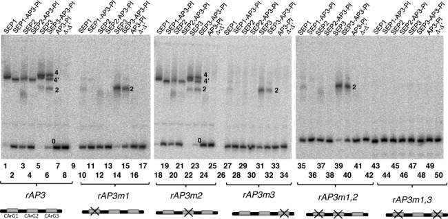 Figure 4.