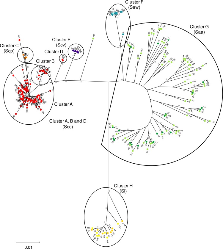 FIG 1