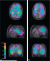 Fig. 16.1