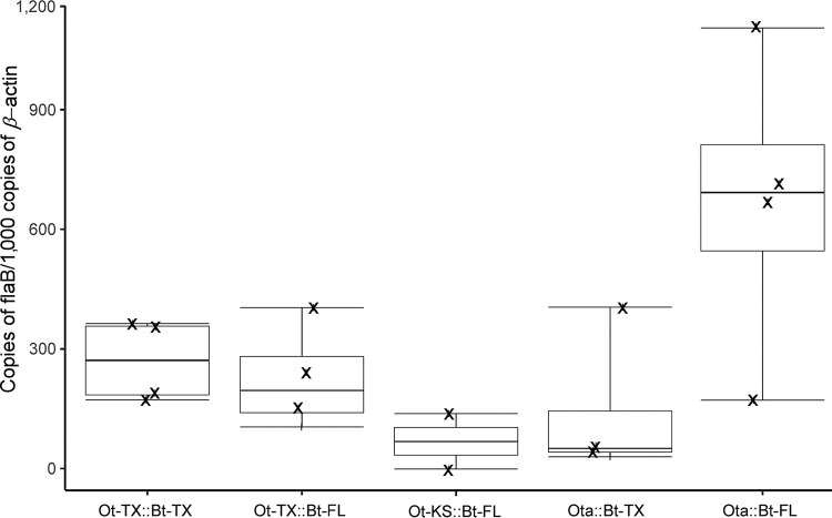 FIG 3