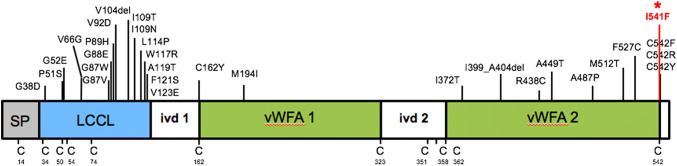 Fig. 1