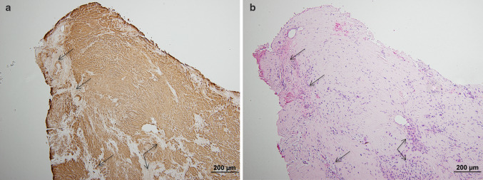 Fig. 5