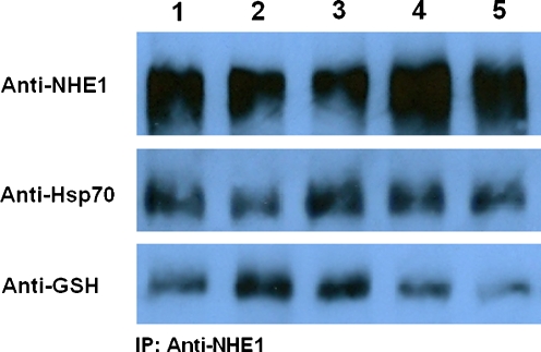 Fig. 7