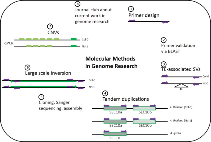 Figure 3: