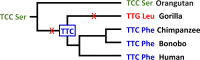 FIG 2