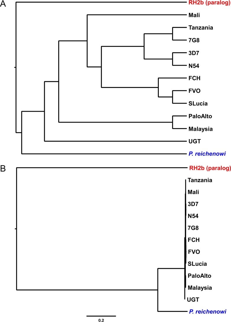 FIG 1 