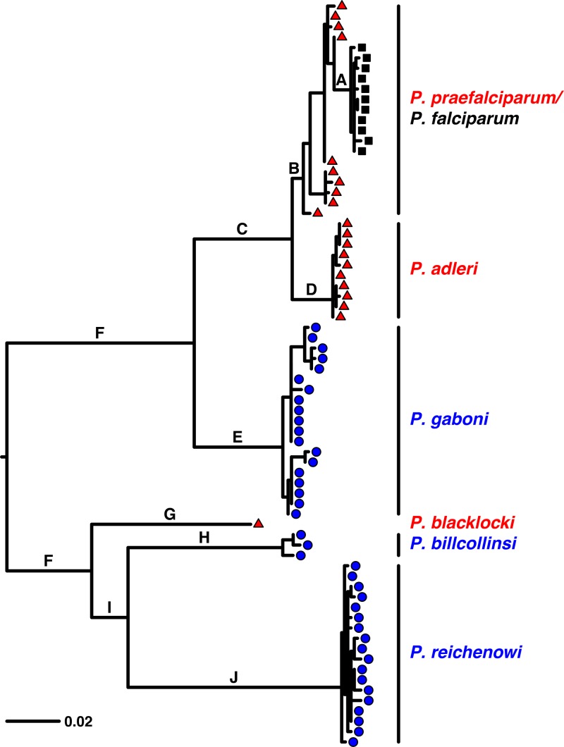 FIG 3 