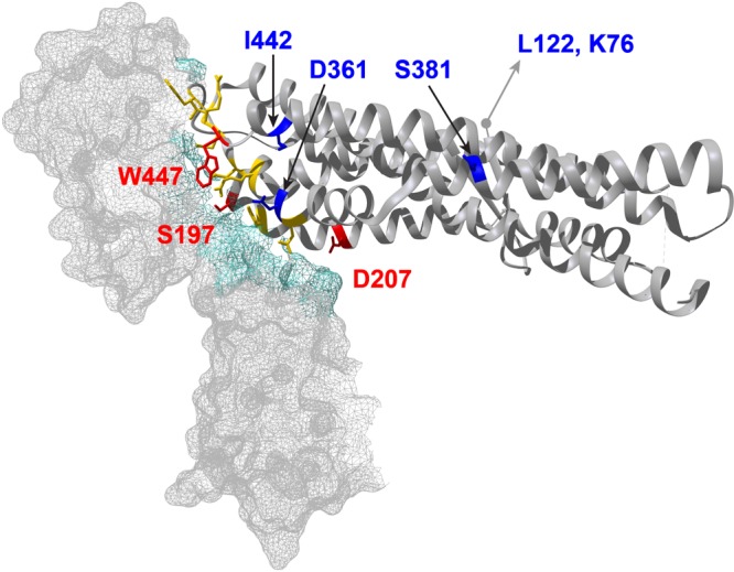 FIG 5 